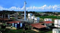        Acciones de Maple Energy Perú se hunden tras notificación de default