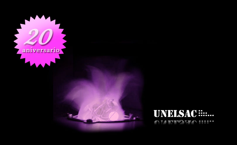 UNELSAC cumple 20 años al Servicio de la Industria